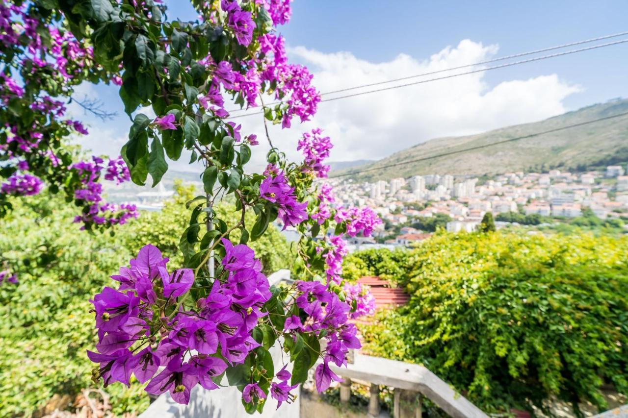 Apartment Luka Dubrovnik Ngoại thất bức ảnh